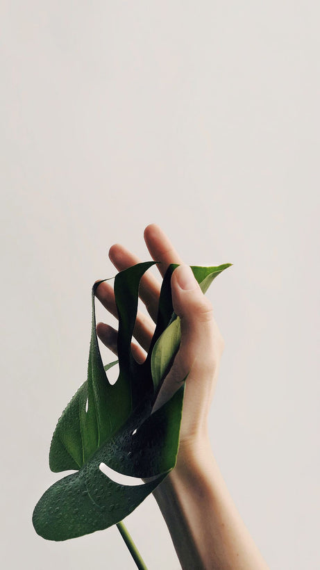 Soins des mains